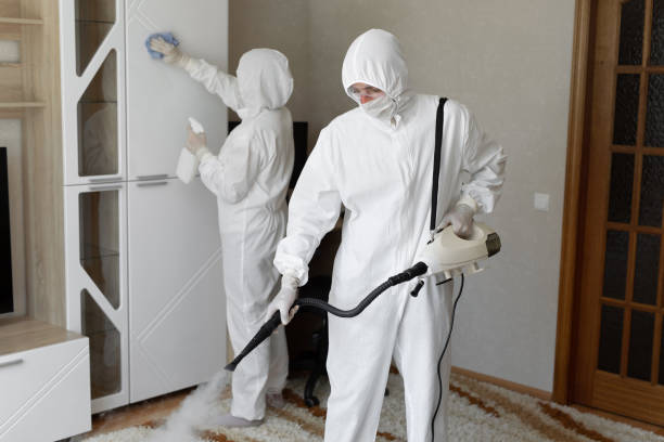 24/7 Emergency Odor Removal experts in North Arlington, NJ