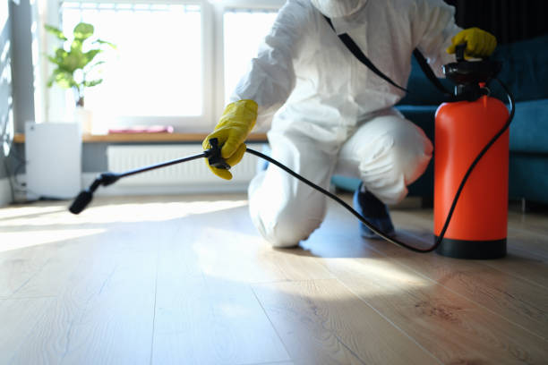Reliable Odor Removal contractor in North Arlington, NJ by Trauma Clean Pros
